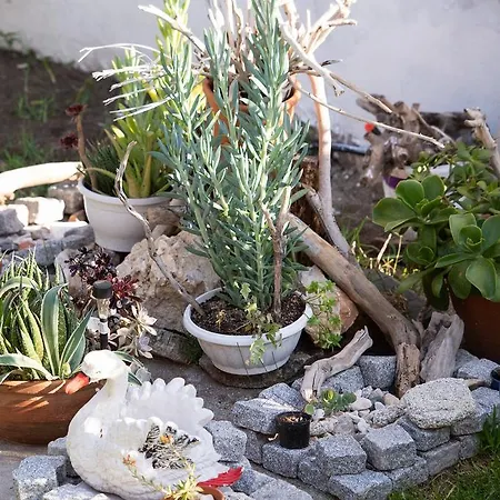 Sophia's House Appartement *