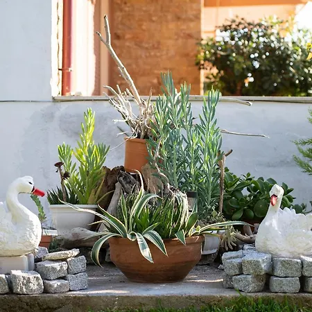 Appartement Sophia's House Toroni