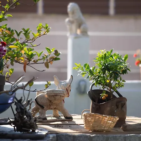 Appartement Sophia's House