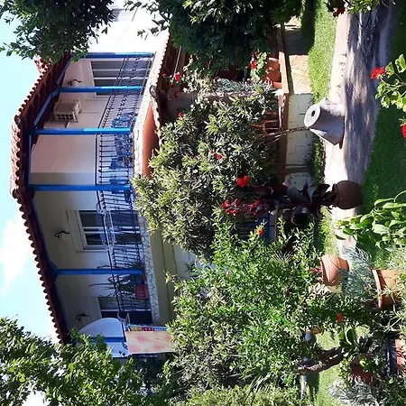 Sophia's House