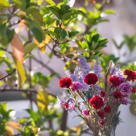 Sophia's House * Toróni