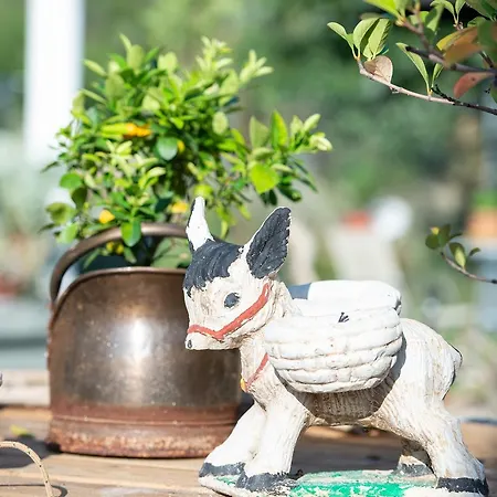 Sophia's House Apartman Toróni