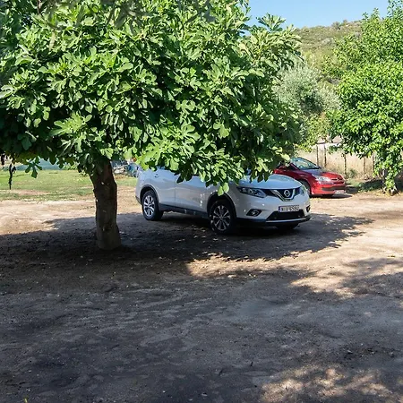 Apartman Sophia's House *