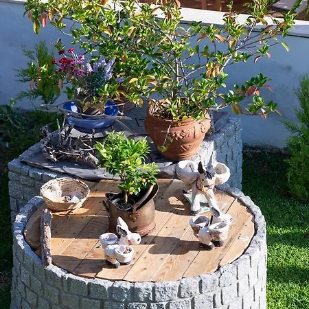 Apartman Sophia's House *