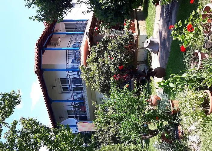 Sophia's House