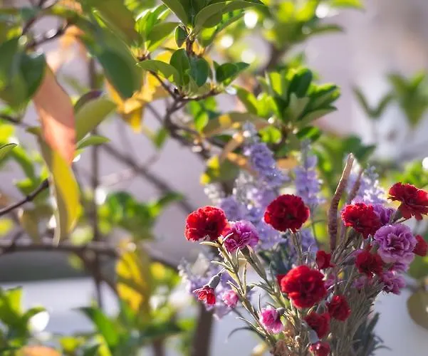 Sophia's House * Toroni