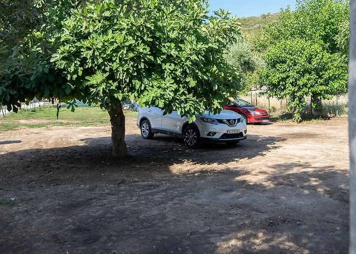 Appartement Sophia's House *