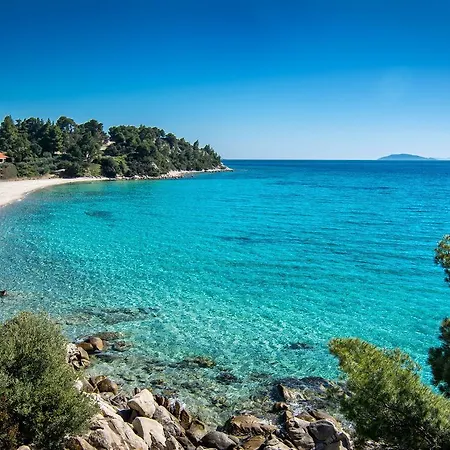 Apartament Sophia's House *