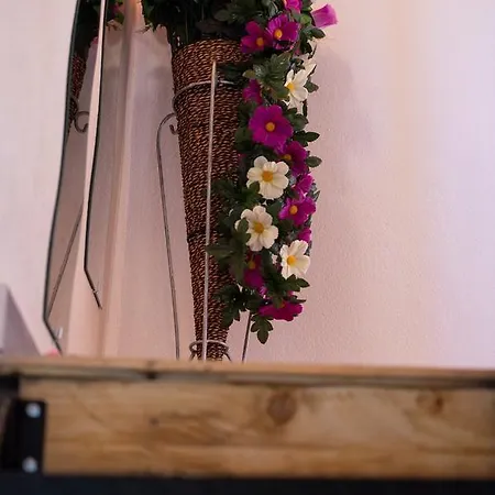 Apartament Sophia's House